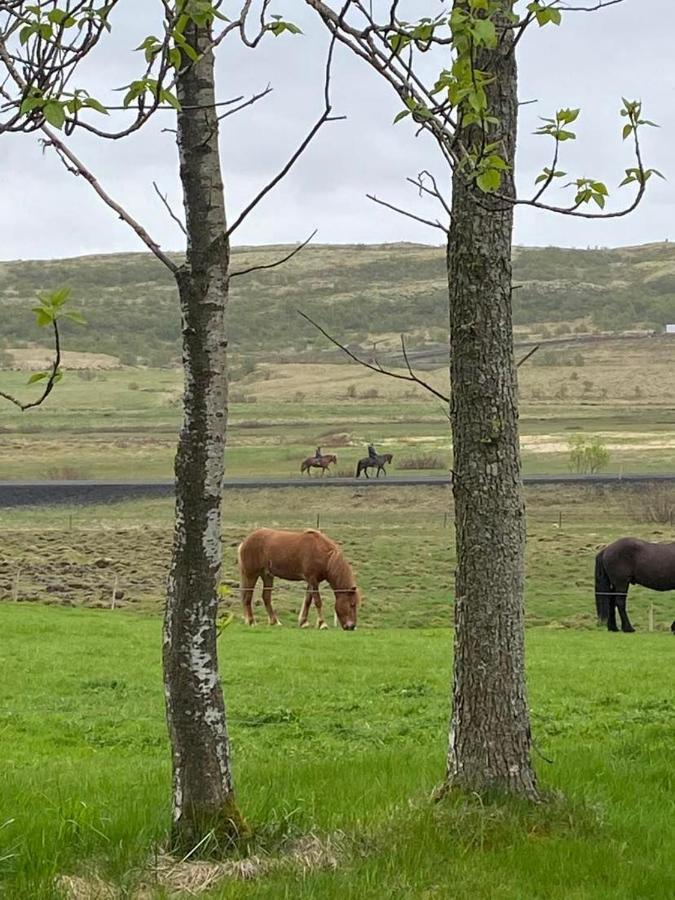 Golden Circle Private Farmhouse With Hot Tub Villa Selfoss Exterior foto